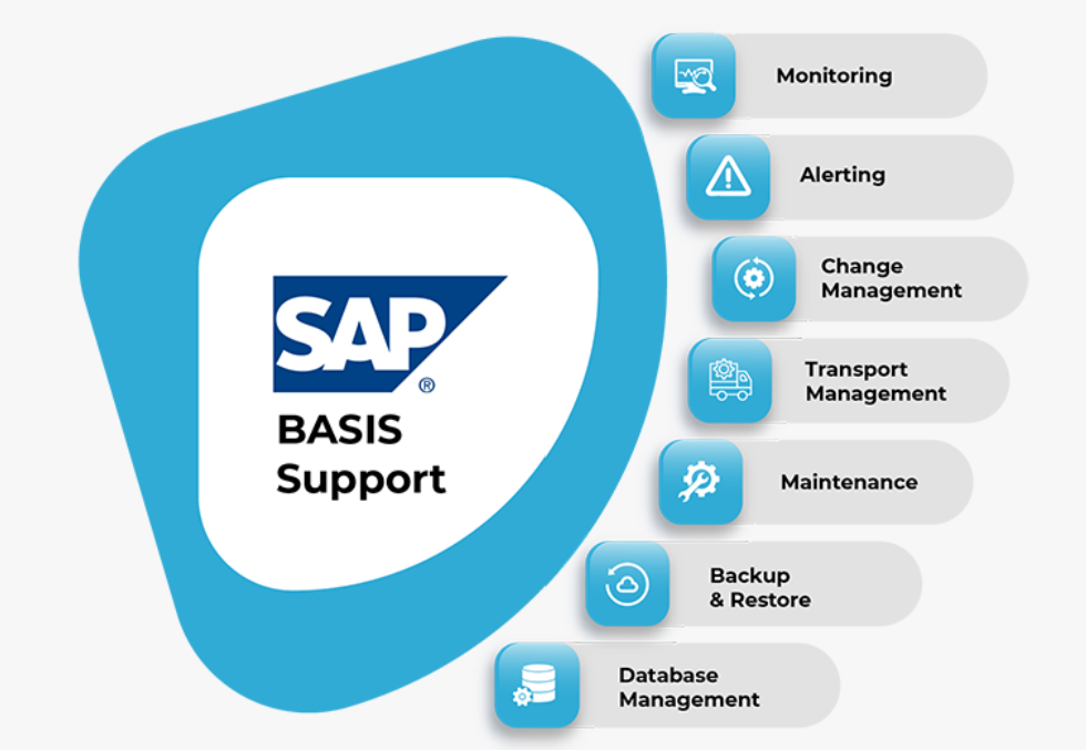 SAP Basis Training in Bangalore Image